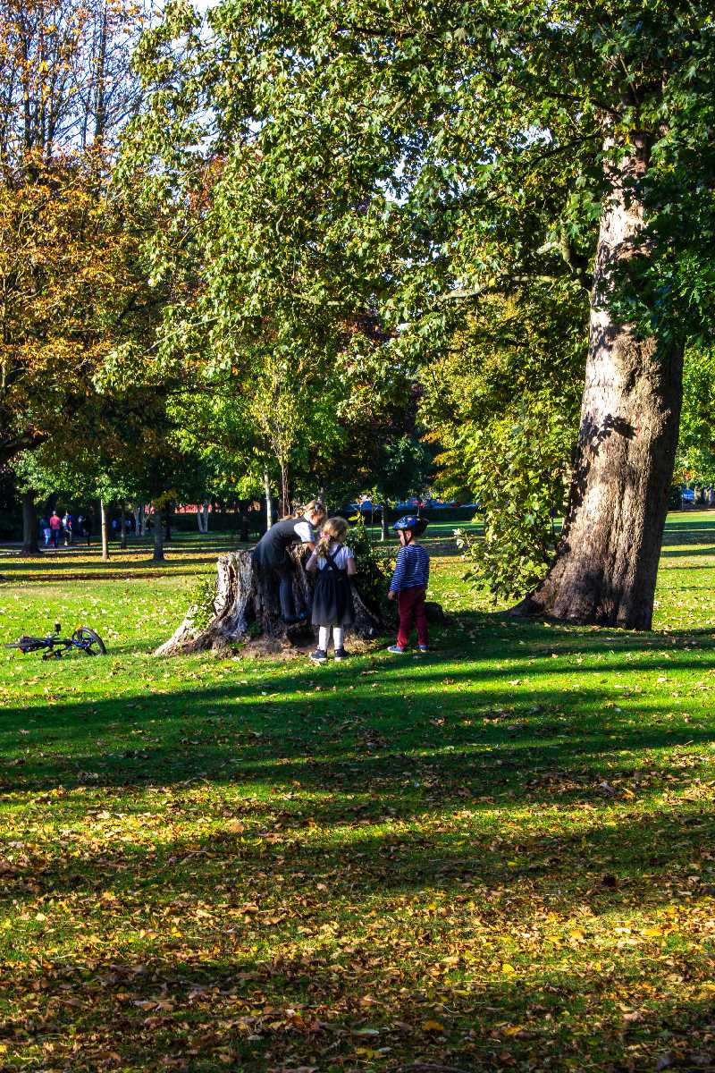 Children in the park after school